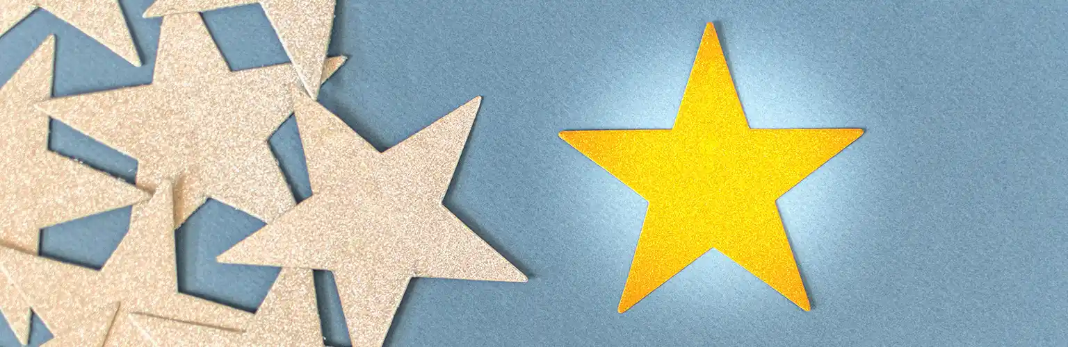 Concept of excellence, one gold star.