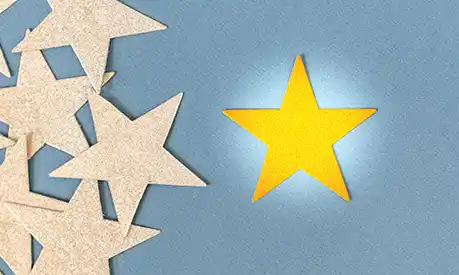 Concept of excellence, one gold star.