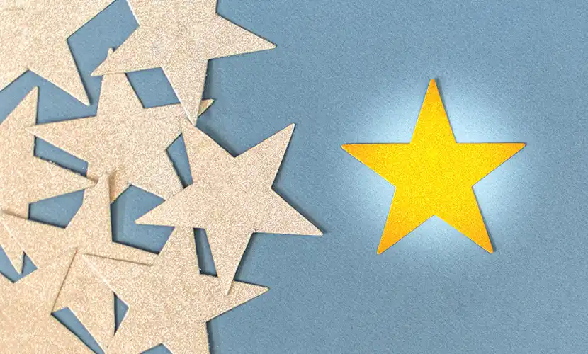 Concept of excellence, one gold star.