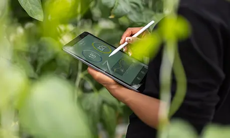 person holding a tablet showing statistics in front of plants