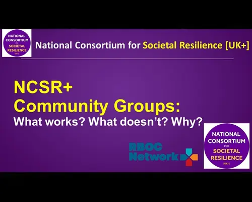 What works, what doesn't, and why - Resilience insights from community groups