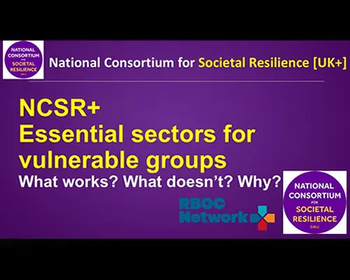 What works, what doesn't, and why - Resilience insights from essential sectors